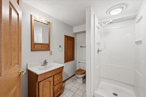 Lower level bathroom has a stand-alone shower