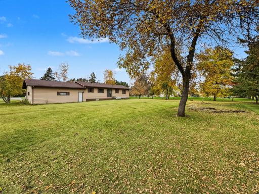 Back of Home/Yard
