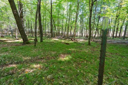 Photo for Lot6 815th Avenue, Menomonie, WI 54751 - listing #7152443 Lot6 815th Avenue, Menomonie, WI 54751