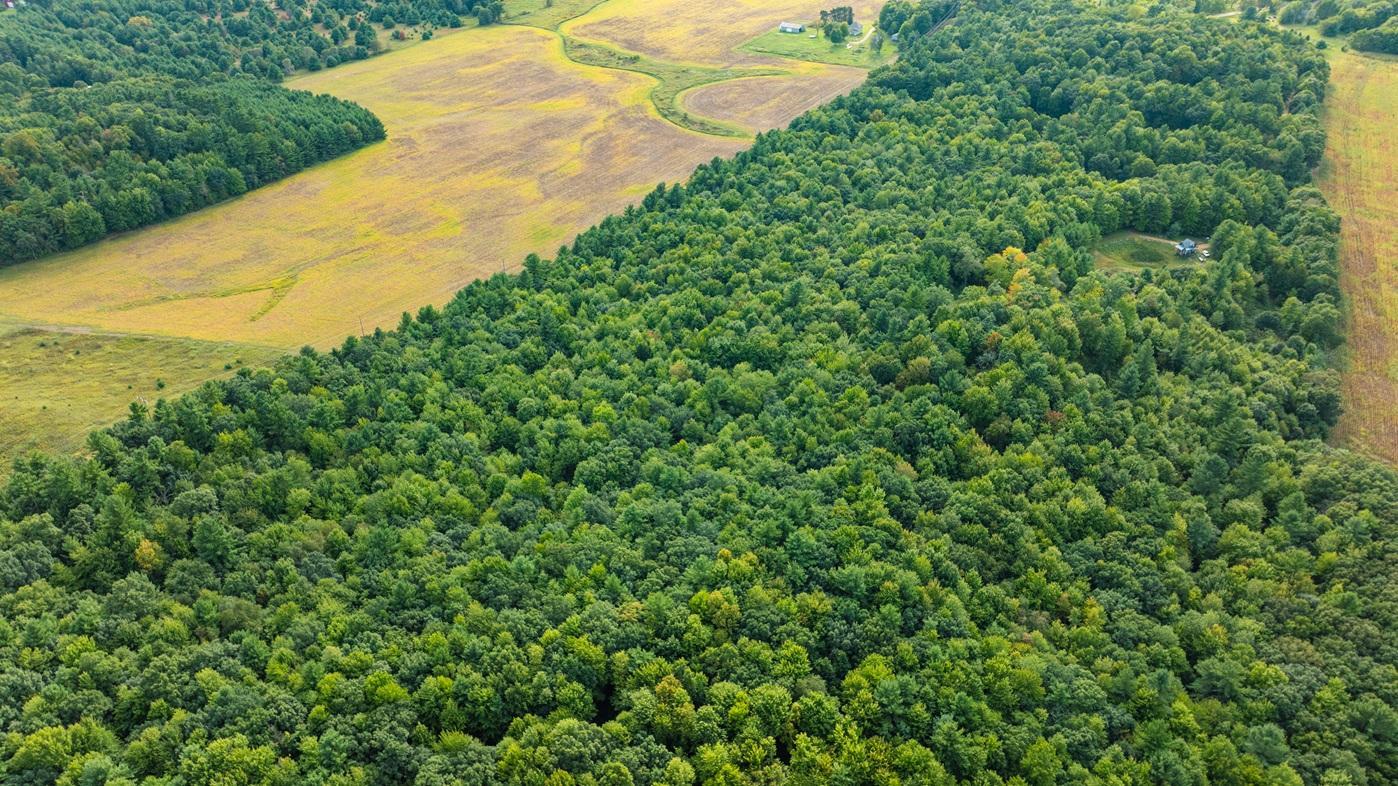 DJI_0633.jpg