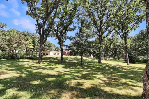 Mature trees and landscape surround your peaceful oasis.