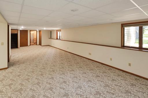Tons of space and natural light in the lower level family room.
