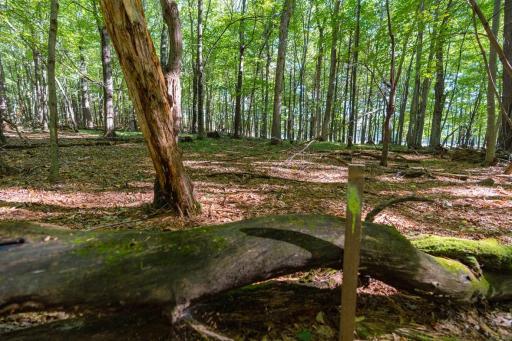 Photo for Lot7 815th Avenue, Menomonie, WI 54751 - listing #7152449 Lot7 815th Avenue, Menomonie, WI 54751