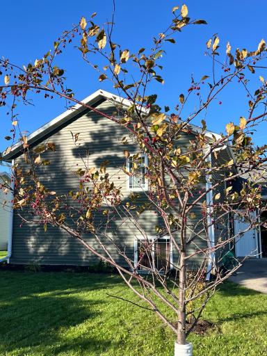 2028 Nelson Drive, Thief River Falls, MN 56701