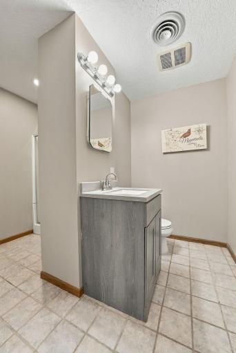 1320 Wildflower Lane, Chaska, MN 55318