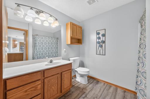 Full bathroom with updated light fixture & flooring.