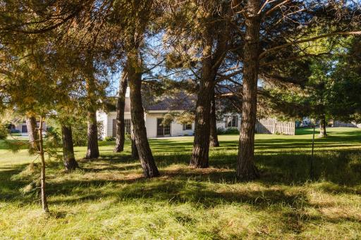 816 Whitetail Lane, Detroit Lakes, MN 56501