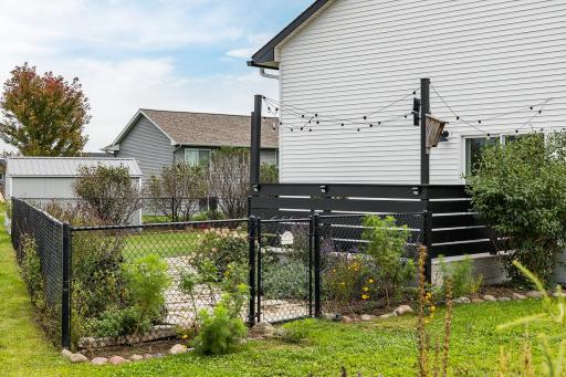 web_fence.jpg