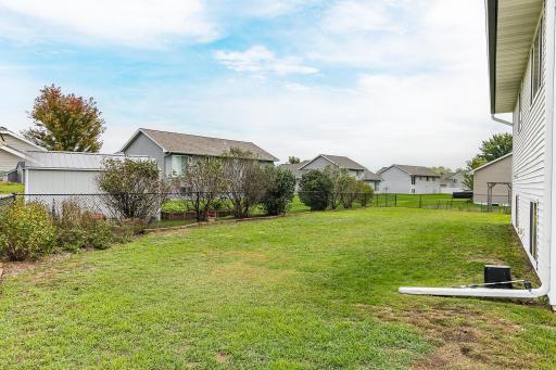 web_back yard 2.jpg