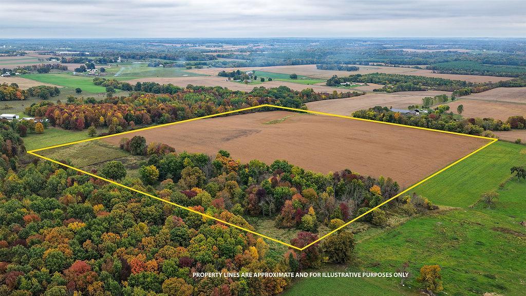 FieldVacantLandPropertyLine.jpg