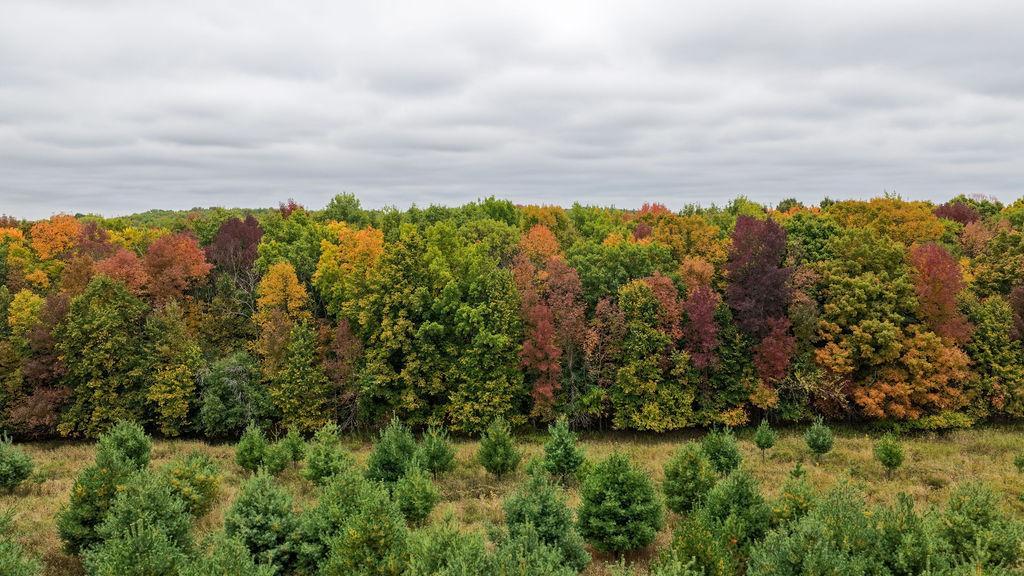 DJI_20260928020819_0051_D.jpg