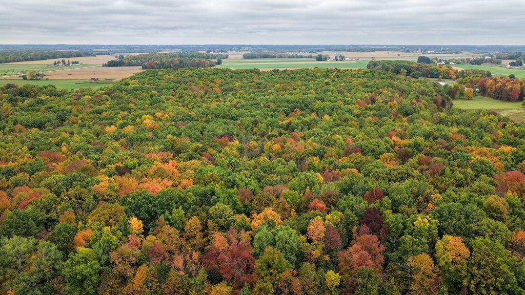 DJI_20260928021128_0066_D.jpg