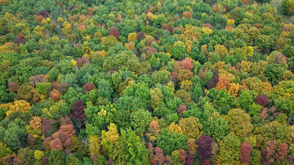 DJI_20260928020857_0055_D.jpg