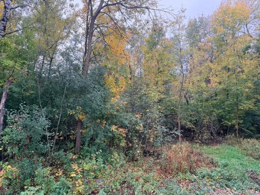 110 28th Street E, Brainerd, MN 56401
