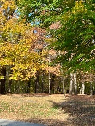 17135 200th Street, Lake Park, MN 56554