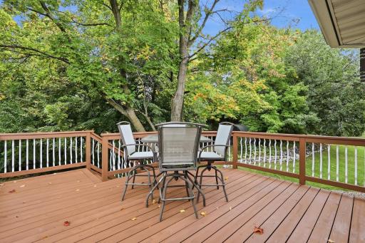 14159 Bluebird Trail NE, Prior Lake, MN 55372