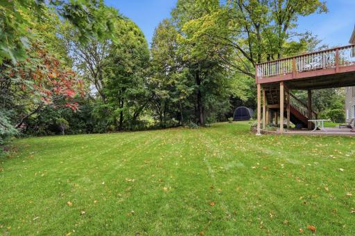 Large backyard with plenty of trees and privacy