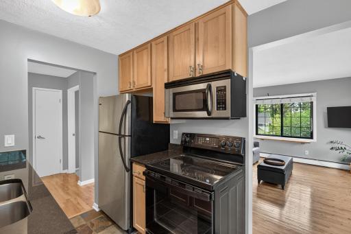 3844 Nicollet Avenue, 305, Minneapolis, MN 55409