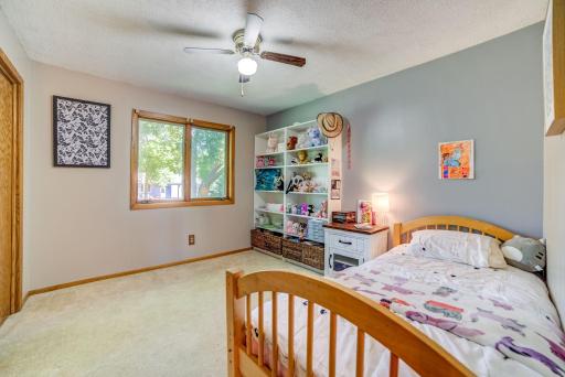 638 Kim Avenue, Hamburg, MN 55339