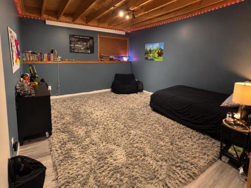 Lower-level flex room currently being used as a bedroom