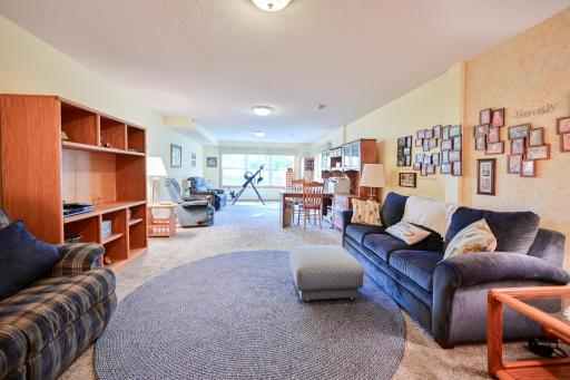 Expansive lower level family room with fantastic daylight windows.
