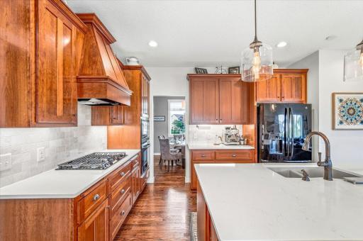 13592 Belle Taine Way, Rogers, MN 55374