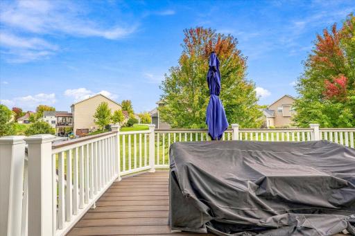 13592 Belle Taine Way, Rogers, MN 55374