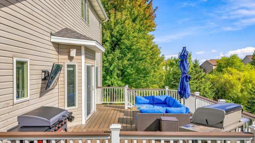 13592 Belle Taine Way, Rogers, MN 55374