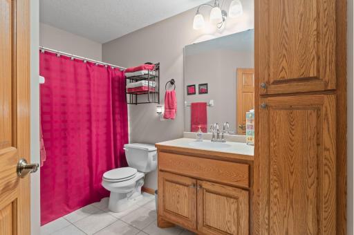 22393 167th Street NW, Big Lake, MN 55309