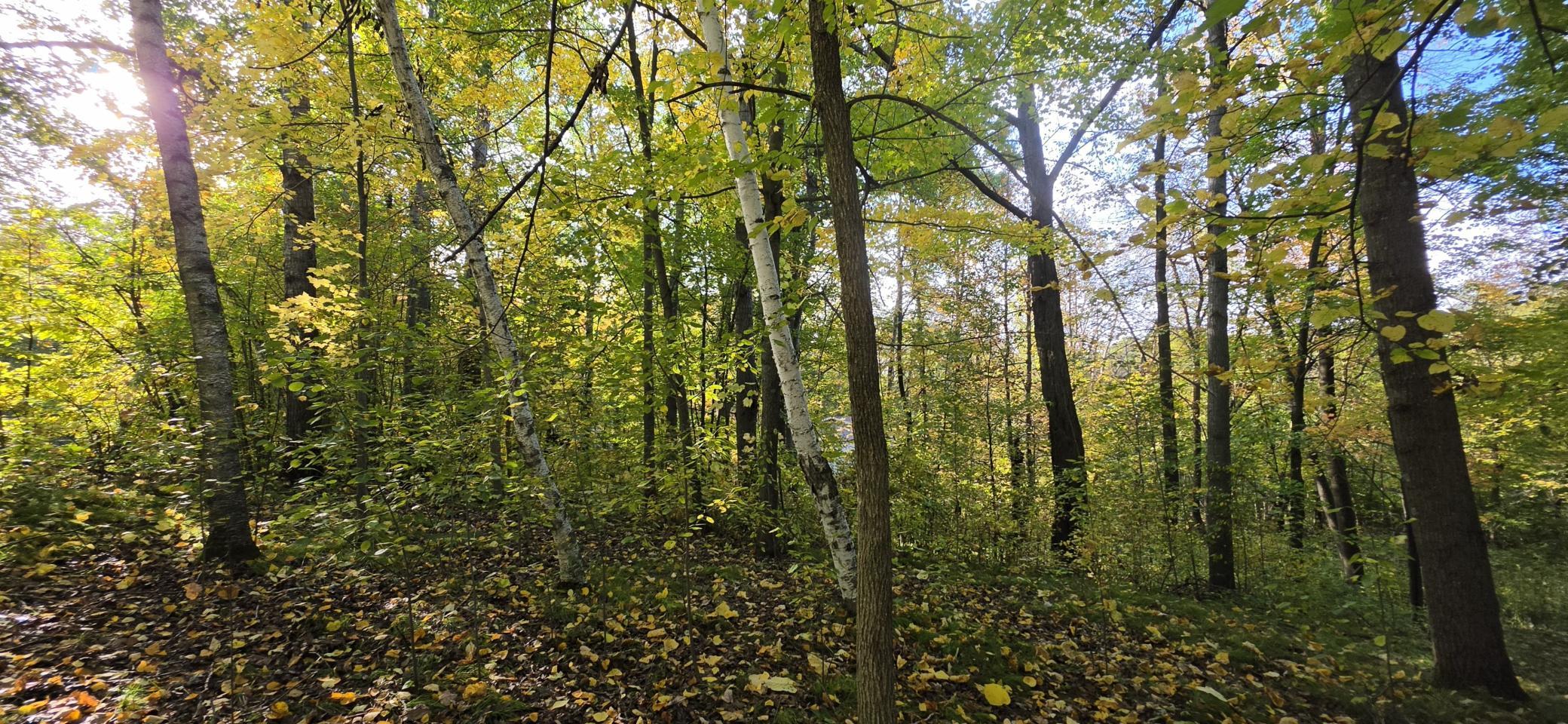 20261001_093146.jpg