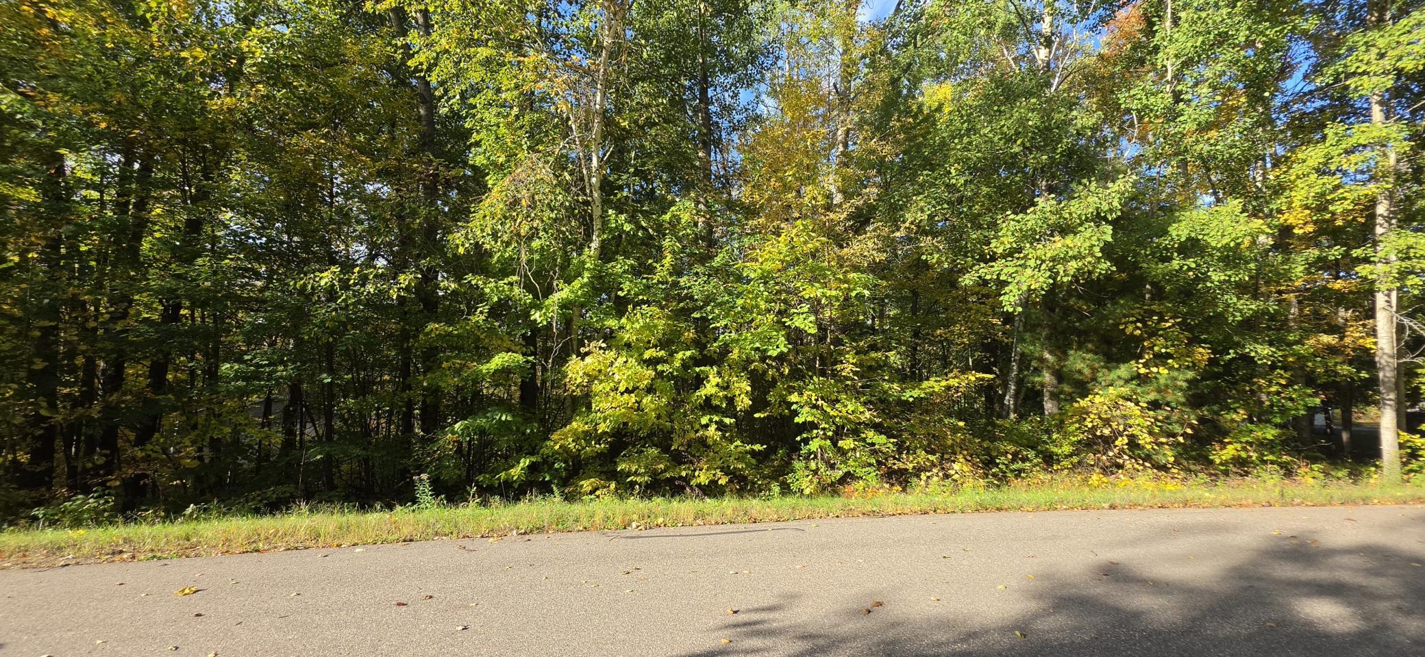 Property photo for TBD Easy Street, Cushing, MN 56443