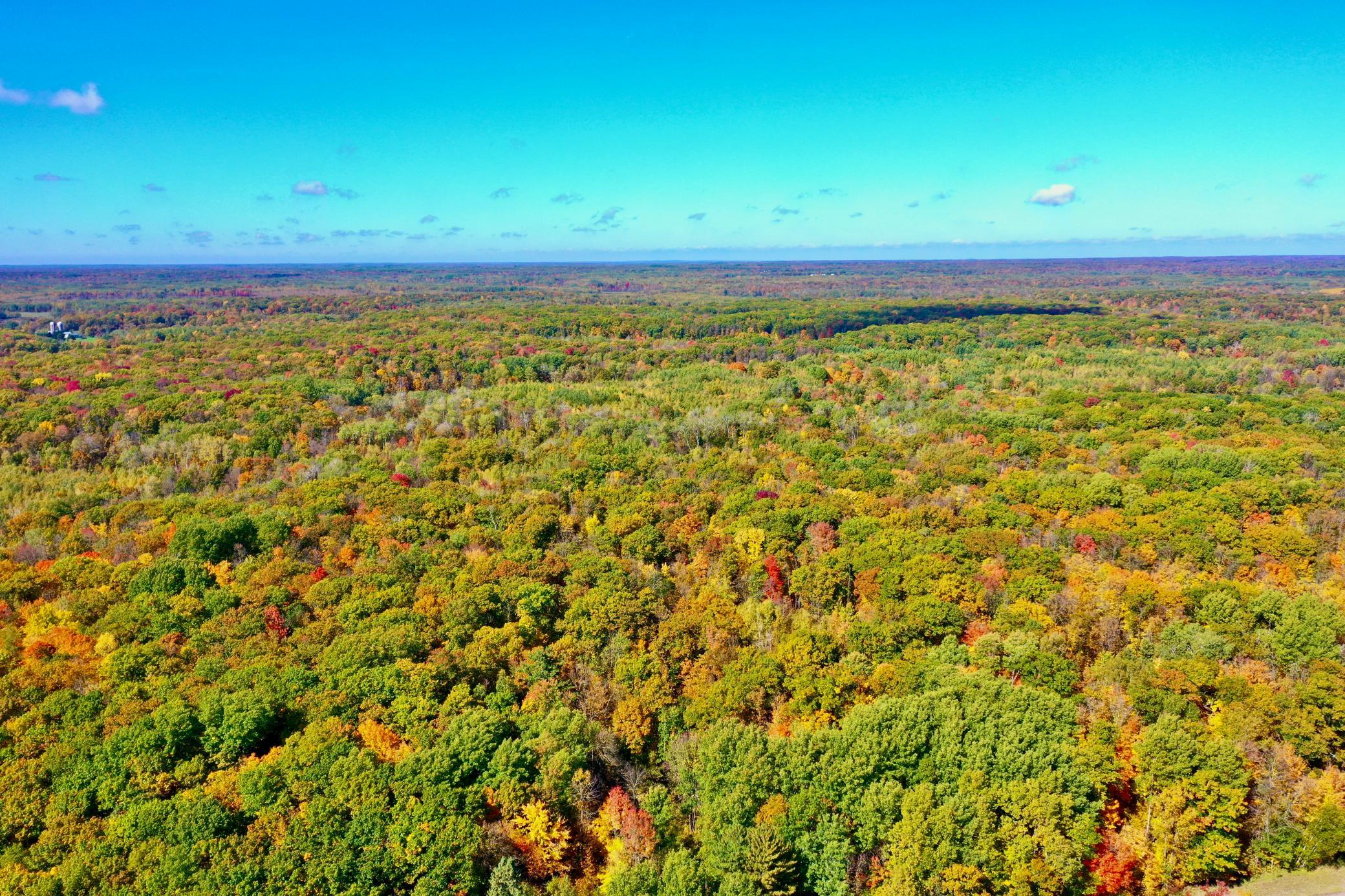 DJI_0246.JPG