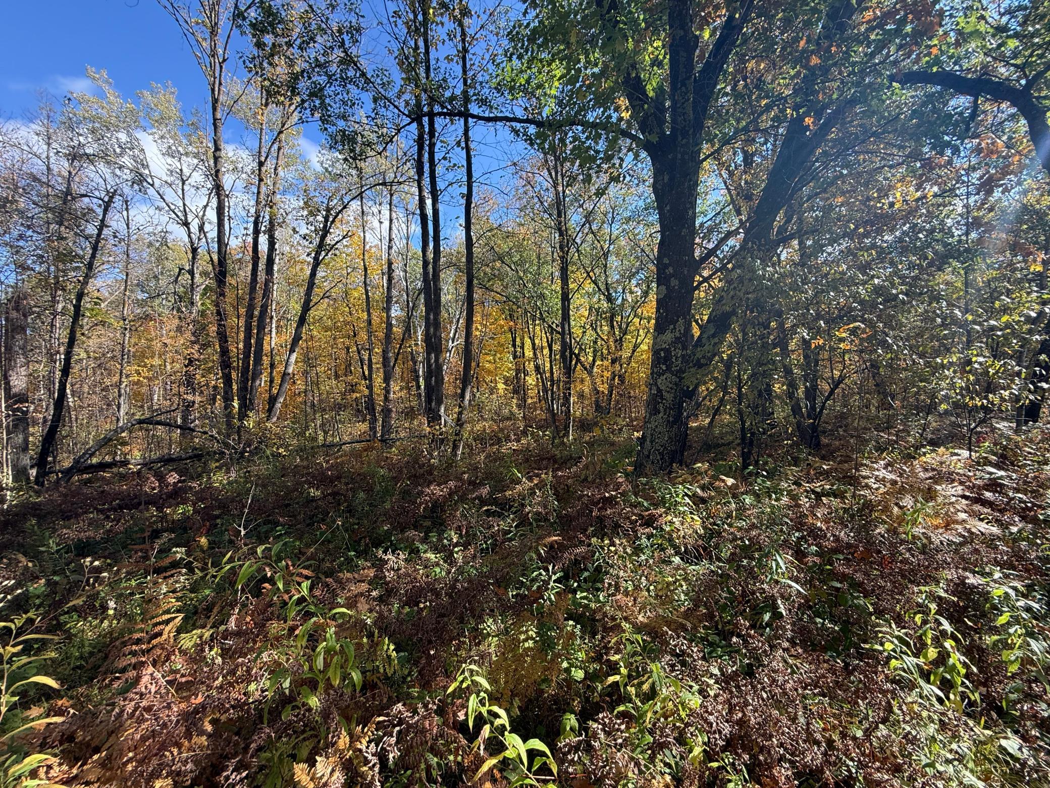 IMG_6410.jpeg