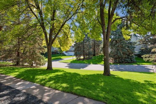 Sunlight filters through mature trees, bringing shade, greenery and a beautiful outlook to the shared outdoor space.