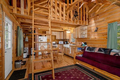 4223 S Thomas Lake Road, Two Harbors, MN 55616