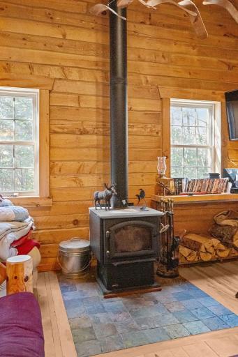 4223 S Thomas Lake Road, Two Harbors, MN 55616