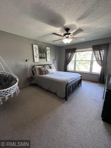898 Providence Drive, Shakopee, MN 55379