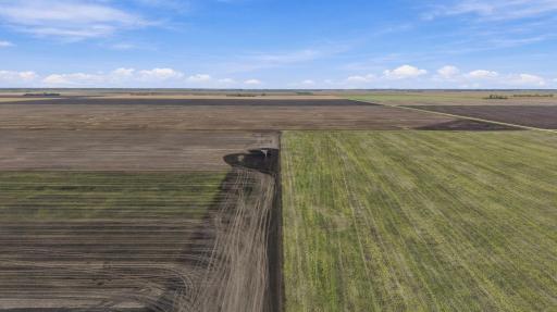 00 rural, Hillsboro, ND 58045
