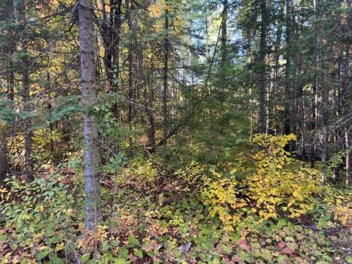 TBD Lost Lake Rd., Tower, MN 55790