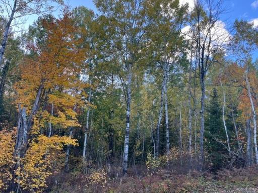 TBD Lost Lake Rd., Tower, MN 55790