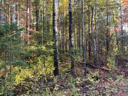 TBD Lost Lake Rd., Tower, MN 55790