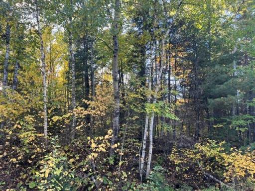 TBD Lost Lake Rd., Tower, MN 55790