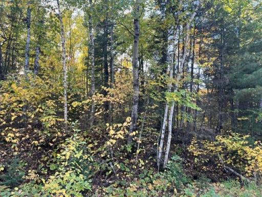 TBD Lost Lake Rd., Tower, MN 55790