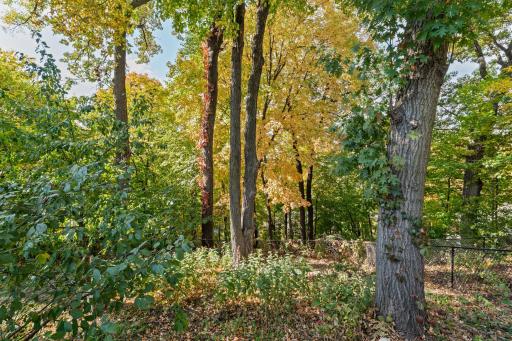 3045 Dundee Lane, Mound, MN 55364