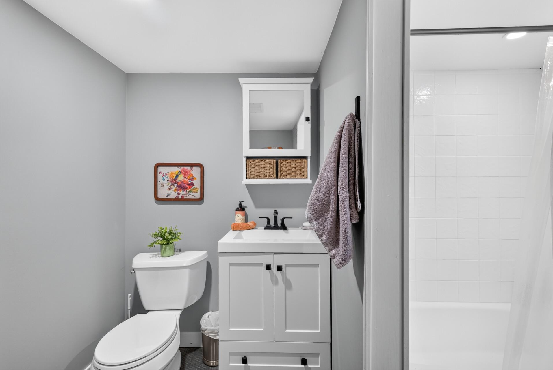 Lower-level bathroom with a modern vanity, updated fixtures, and tub/shower surround.