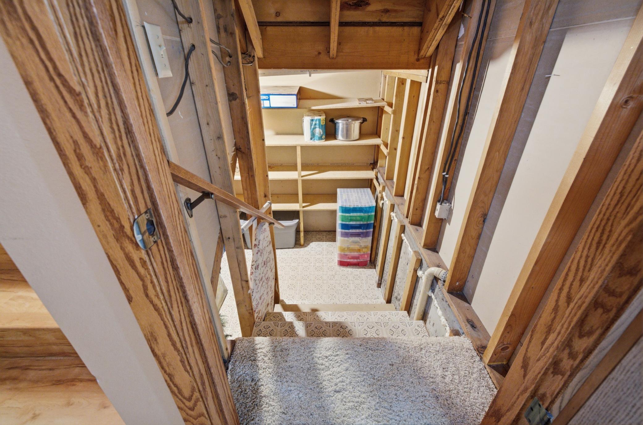 Under stairs Storage Room