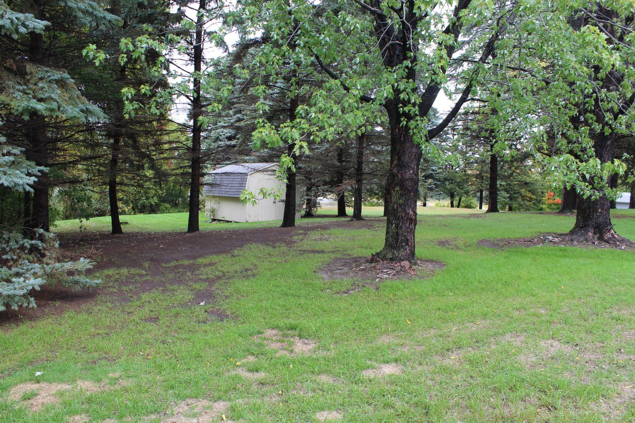 Private backyard with shed
