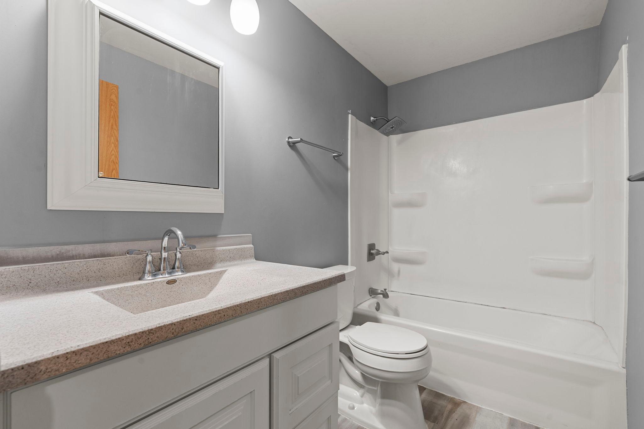 Lower level bathroom.
