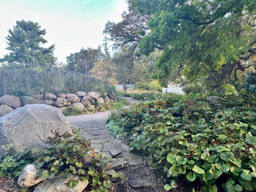 Lovely walk ways to the sand bottom pool!