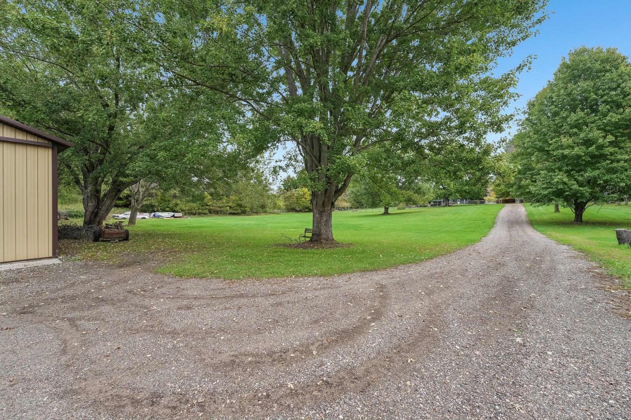 Driveway from Pole shed View to home